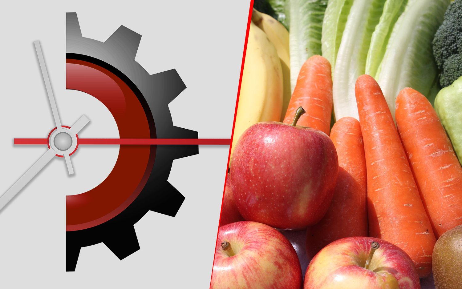 Servicii estimare si prognoza retail Legume Fructe