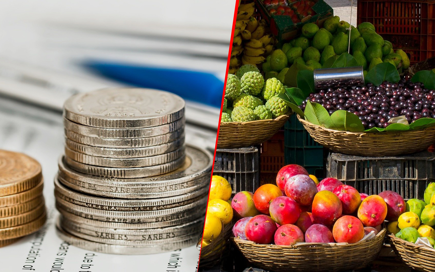 Servicii monitorizare si comparatii preturi Legume Fructe